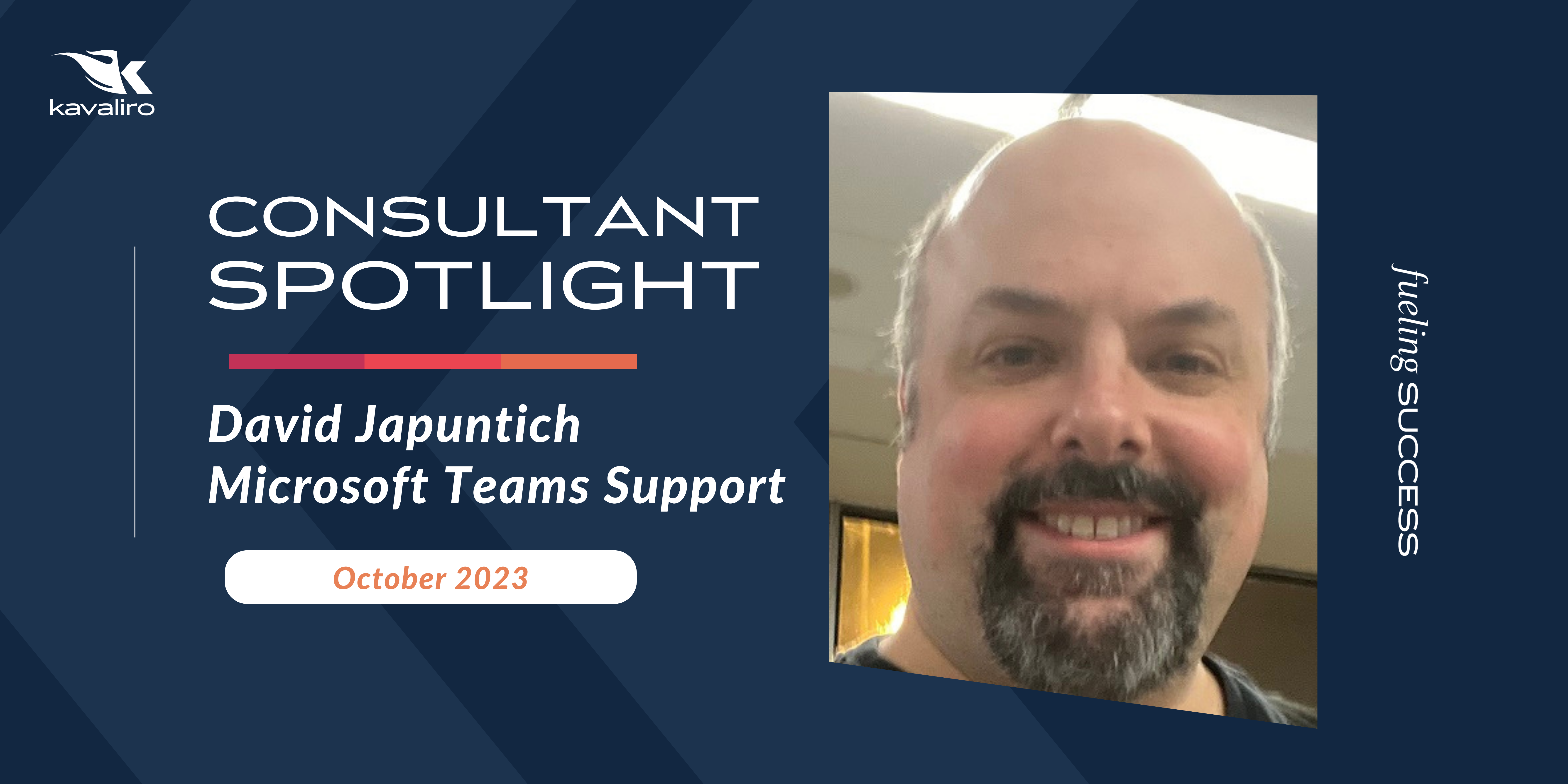 Consultant of the Month: David Japuntich
