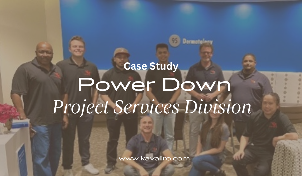 Power Down Project - Professional Solutions