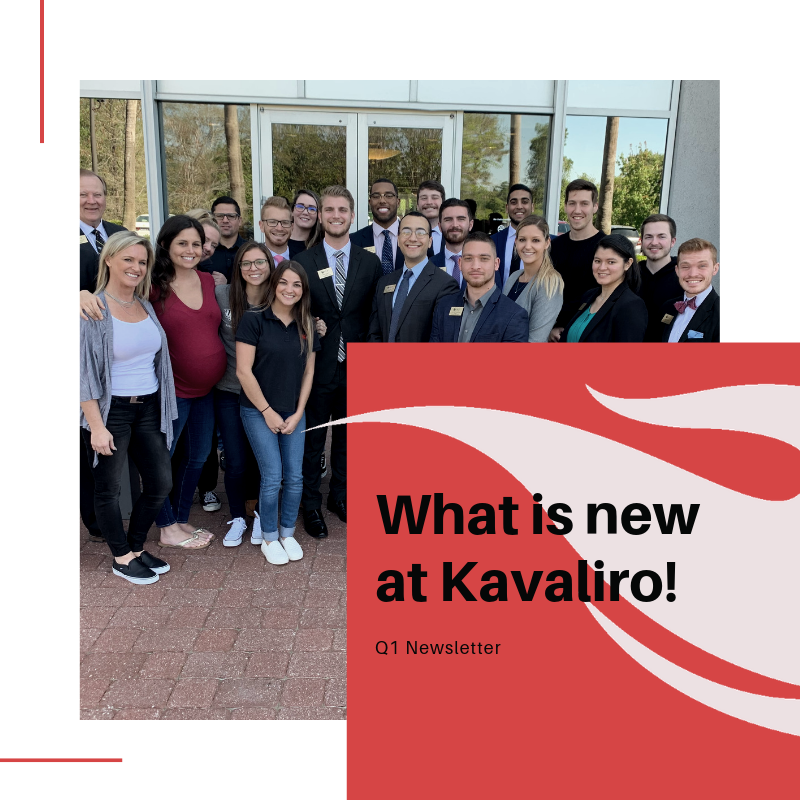 What is New at Kavaliro?